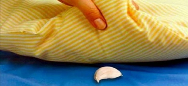 Βάζει μια σκελίδα σκόρδο κάθε βράδυ κάτω από το μαξιλάρι του γιου της – Όταν μάθετε το λόγο θα κάνετε ακριβώς το ίδιο